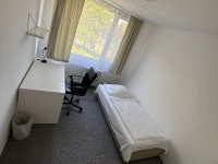Flat X (Single room)